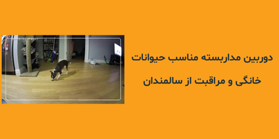 دوربین مداربسته مناسب حیوانات خانگی و مراقبت از سالمندان